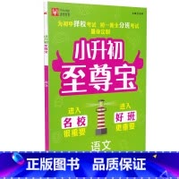 [正版]津桥教育 小升初至尊宝语文 通用版小学毕业总复习冲刺重点中学为初中择校考试初一新生分班考试量身定制