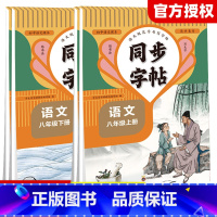 [上册+下册]语文练字帖-2本套 七年级/初中一年级 [正版]七年级八年级上下册同步字帖语文人教版初中生字帖钢笔临