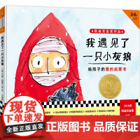 [2018凯迪克金奖]小读客 我遇见了一只小灰狼绘本 神奇的无字书 1001种爱的讲法幼儿园宝宝启蒙早教读物0-3-6周