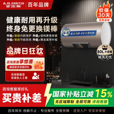 史密斯80升电热水器 国家补贴 专利免更换镁棒 金圭内胆 速热节能 CEWH-80ED3 一级能效