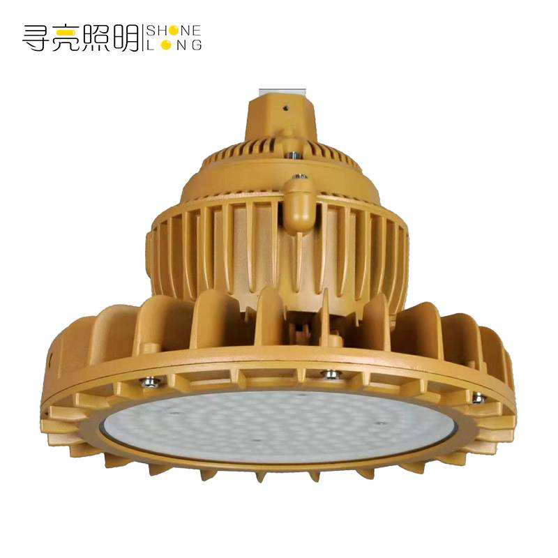 寻亮照明 工矿灯 防爆 NMGDK 300W 个