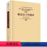 [正版]书籍 郧县店子河遗址湖北省文物局,湖北省移民局,南水北调中线水源有限责任历史 文物考古 遗址/陵墓978703