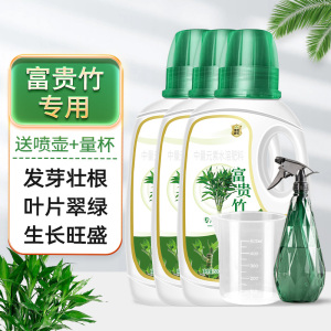 [补贴10%]富贵竹专用营养液治叶子发黄转运竹节节高文昌竹水竹水培植物生根
