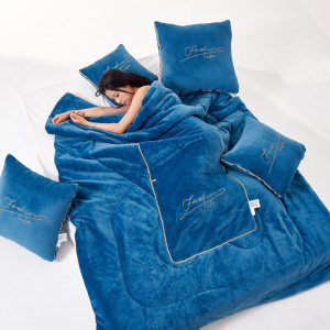 秋冬新款牛奶绒轻奢抱枕被 刺绣+踩棉+绗缝固定 加厚加大靠垫