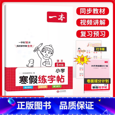 寒假练字帖 小学五年级 [正版]2024新版一本小学寒假练字帖5年级人教版语文同步字帖寒假练习28天打卡视频讲解五5年级