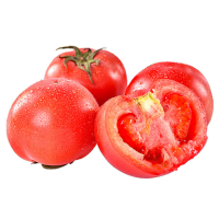 [熊猫鸟]山东普罗旺斯番茄 净重4.5斤 9-16个 西红柿