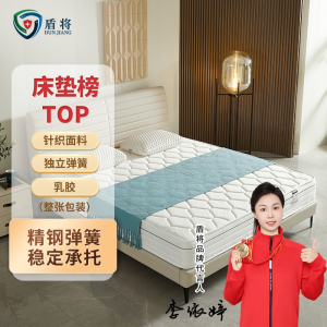 盾将 弹簧乳胶护脊床垫 DJ-468S-CD007