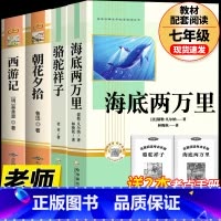 [完整版 4册]海底两万里+骆驼祥子+朝花夕拾+西游记 [正版]完整版海底两万里和骆驼祥子原著老舍七年级下册名著导读初中