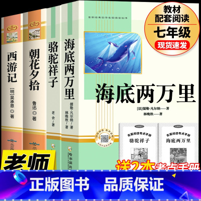 [完整版 4册]海底两万里+骆驼祥子+朝花夕拾+西游记 [正版]完整版海底两万里和骆驼祥子原著老舍七年级下册名著导读初中