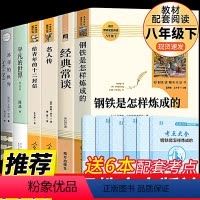[全套6册]八年级下推荐名著 [正版]八年级下名著全套6册钢铁是怎样炼成的原著傅雷家书名人传平凡的世界苏菲的世界给青年的