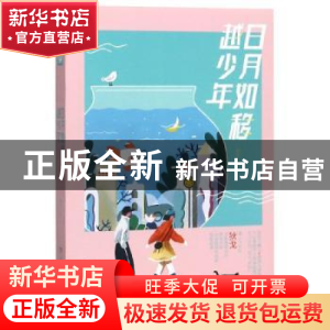 正版 日月如移越少年 狄戈著 湖南文艺出版社 9787540494858 书籍