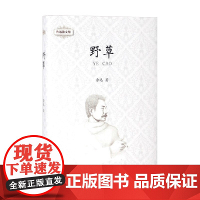 鲁迅散文集 鲁迅 著 散文