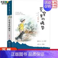 [正版]薛涛 大地·星空系列 菜窖里的姥爷 薛涛著 儿童文学 绘画/漫画/连环画/卡通故事少儿 图书