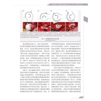 现代髋关节保护:病理生理学和外科治疗的新见解