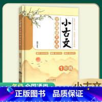 1年级 小学通用 [正版]2023 小古文分级阅读天天练小学一1二2三3四4五5六6年级上册下册人教版全国通用版小学生语