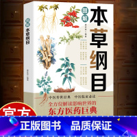 图解本草纲目 [正版]彩色图解本草纲目 全方位解读影响世界的东方医药巨典 中医传世经典 中医临床必读