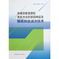 正版新书]坚硬顶板宽煤柱诱发冲击的显现特征及爆破降能减冲技术