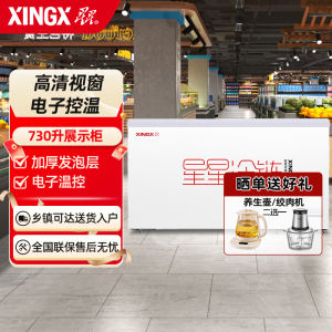 星星(XINGX)SD/SC-730BE 713升深底岛柜商用冰柜 冷藏冷冻单温卧式展示柜 超市便利店雪糕饮料大容量展示