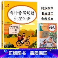 6上-看拼音写词语 小学通用 [正版]乐学熊小学生看拼音写词语生字注音一二三四五六年级上下册语文专项训练彩绘版同步训练题