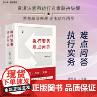 2024新书 执行实务难点问答 曹凤国 主编 人民法院出版社 精心择取500个问题 案例真实典型 适用于法官 当事人 律