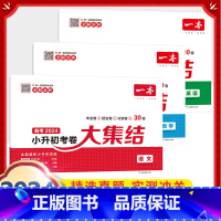 小升初考卷大集结(语+数+英) 小学升初中 [正版]2024小升初考卷大集结语文数学英语测试卷毕业招生分班卷精选2021