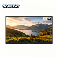 SOGREAT 65英寸壁挂触控一体机广告机 SGD65T9/台