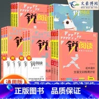 现代文阅读训练100篇 八年级/初中二年级 [正版]锐阅读初中语文阅读训练五合一七年级八年级九年级中考现代文阅读理解训练