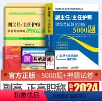 [正版]备考2024年副主任护师职称考试书强化训练5000题冲刺押题试卷正高副高级进阶晋升题库模拟题历年真题护理学高级