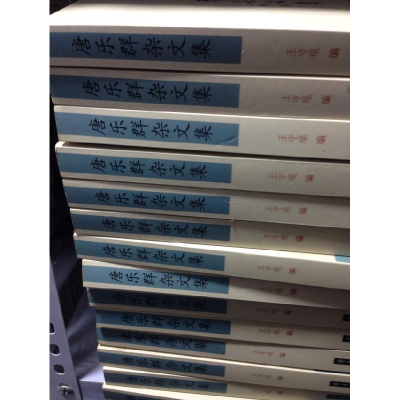 正版新书]唐乐群杂文集王守琨9787533324179