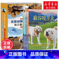[正版]全4册 格日勒其木格黑鹤精品典藏 名家动物小说经典 影像青少版全彩图文 堪比沈石溪动物小说全集 儿童书6-1