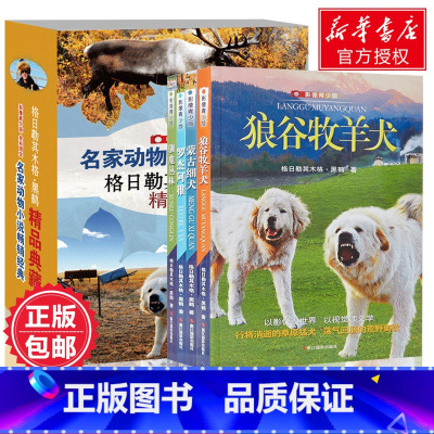 [正版]全4册 格日勒其木格黑鹤精品典藏 名家动物小说经典 影像青少版全彩图文 堪比沈石溪动物小说全集 儿童书6-1