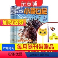 [正版]小哥白尼杂志动物画报 2024年8月起订杂志铺 1年共12期 动物故事漫画中小学生课外阅读图书 儿童科普期刊