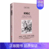 双城记 [正版]全四册了不起的盖茨比少年维特之烦恼双城记八十天环游地球读名著学英语 英汉互译双语读物 中英文对照 世界经