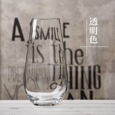 纳丽雅(Naliya)欧式玻璃花瓶创意恐龙蛋造型干花插花花器客厅富贵竹装饰摆件过渡灰色19CM恐龙蛋A2大