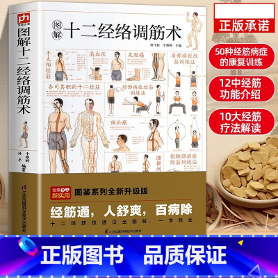[官方正版]十二经络调筋术 [正版]图解十二经络调筋术十二经筋疏通法全图解一学就会50种经筋病症的康复训练12种经筋功用