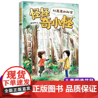 怪怪奇小怪:杜高高的秘密 吴玉中著 儿童文学读物亲子共读书籍 三四五六年级小学生课外阅读书籍暑假经典书目新华正版