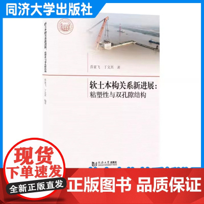 软土本构关系新进展:粘塑性与双孔隙结构 乔亚飞 同济大学出版社