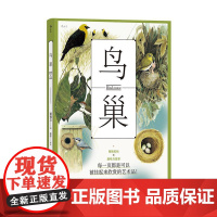 鸟巢 精致彩绘插图 鸟类筑巢习性 观鸟参考 手绘鸟类生物学科普自然图鉴普及读物
