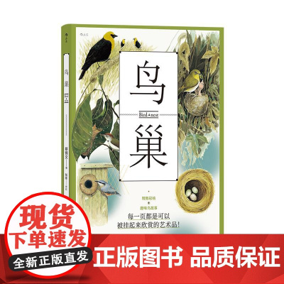 鸟巢 精致彩绘插图 鸟类筑巢习性 观鸟参考 手绘鸟类生物学科普自然图鉴普及读物
