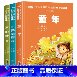 全3册 快乐读书吧彩绘版少年阅读:6上含手册 [正版]全套3册 童年爱的教育和小英雄雨来六年级上册课外书老师经典书目完整