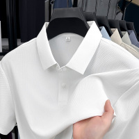 2025夏季新款纯色短袖T恤无痕上衣休闲polo衫中年男士翻领透气T恤