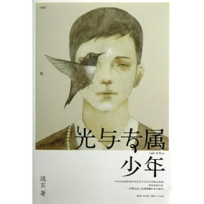 正版新书]光与专属少年琉玄9787535463135