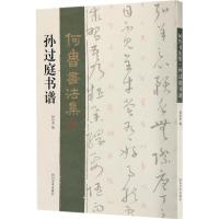 正版新书]孙过庭书谱何培炎9787541067006
