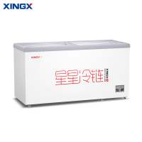 星星(XINGX)SD/SC-540BE商用冰柜展示柜冰箱单温平移玻璃门雪糕柜冷藏冷冻转换冷柜超市岛柜冷冻柜大容量