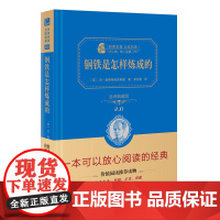 钢铁是怎样炼成的 全译典藏版2.0 精 经典名著大家名译 中小学生课外阅读 学校 寒暑假阅读读物 经典小说现当代文学儿童