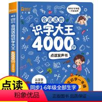 会说话的识字大王4000字 [正版]会说话的识字大王4000字手指点读发声书会说话的早教有声书学前趣味学习汉字神器象形识