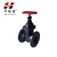 号锐清铸铁法兰闸阀 DN100 个