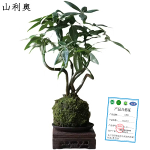 山利奥 茶台摆件 SLA-21/件