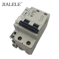 JIALELE 断路器 DZY2-G6 个