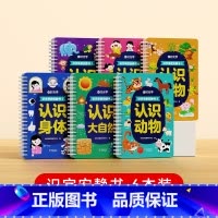 [时光学]识字早教安静书2(整套) [正版]识字早教安静书识字启蒙游戏书幼儿识字早教贴儿童象形看图识字卡片幼儿认字神器全
